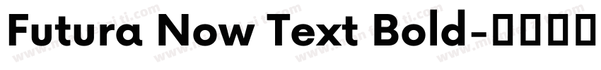 Futura Now Text Bold字体转换